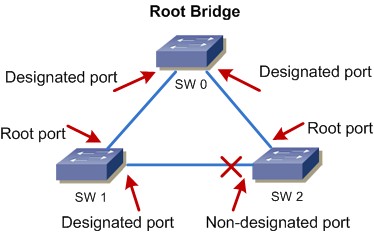 STP - typy portů