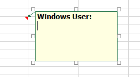 Shared Excel Windows User