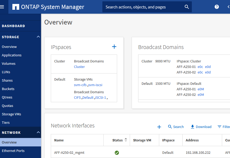 NetApp ONTAP 9.8 Network