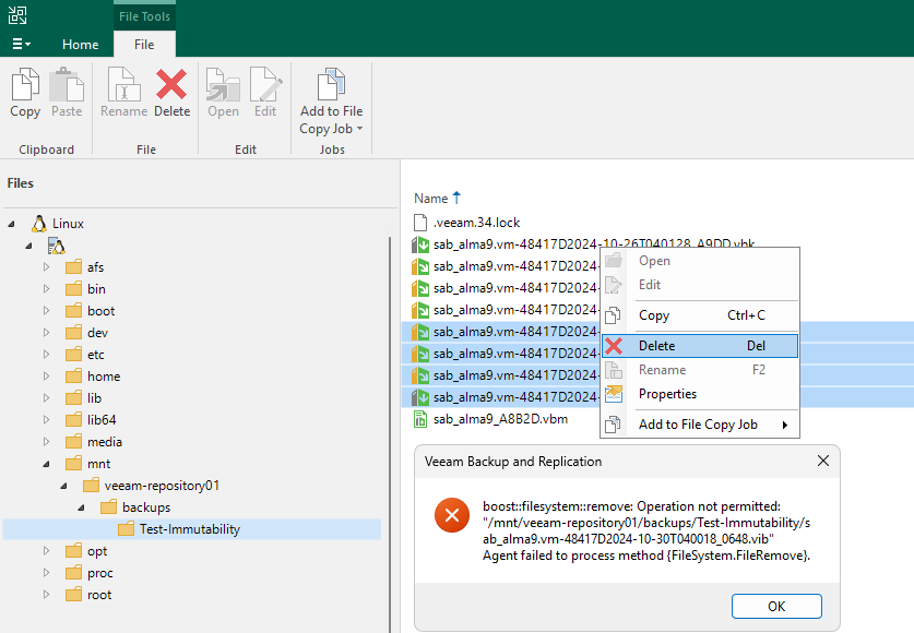 Veeam Backup & Replication - Immutability - delete file Veeam Backup & Replication - Immutability - delete file