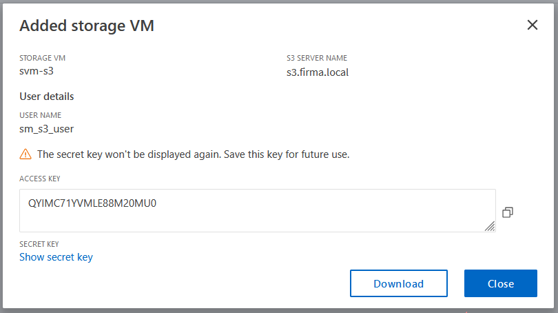 NetApp ONTAP - Added storage VM