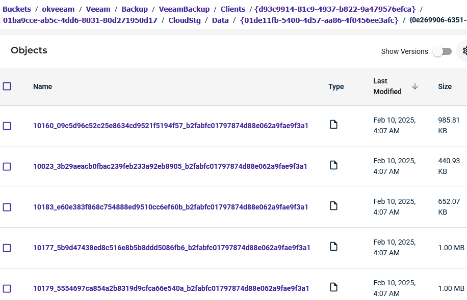 Objekty Veeam zálohy na objektovém úložišti (Wasabi)