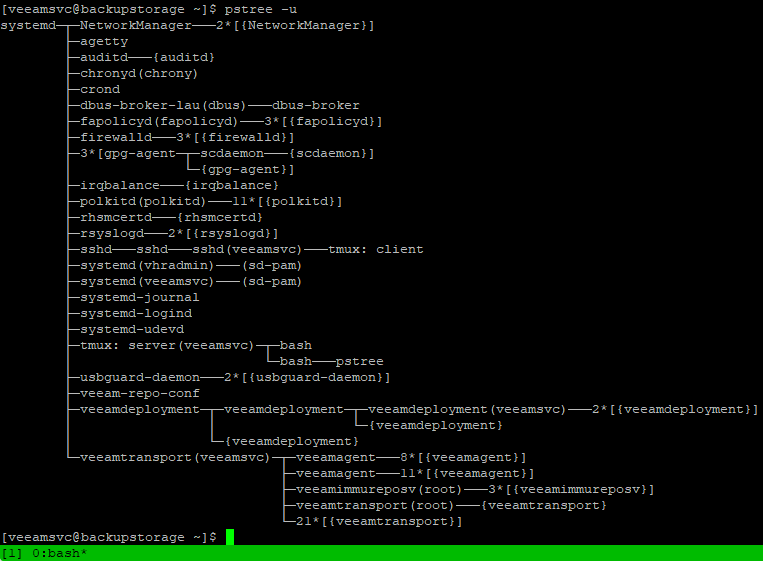 Veeam Hardened Repository - System Process Tree