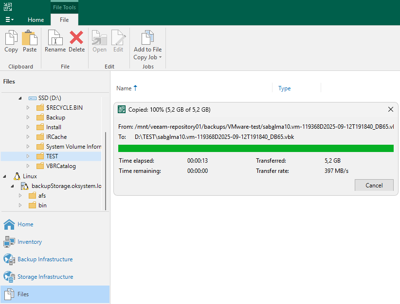 Veeam Backup & Replication - Files - Copy and Paste