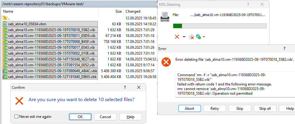 Veeam Hardened Repository - attempt to delete Immutable file