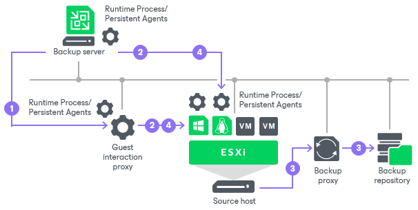 Veeam official image - Guest Interaction Proxy runtime process