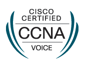 Cisco Certified Network Associate Voice